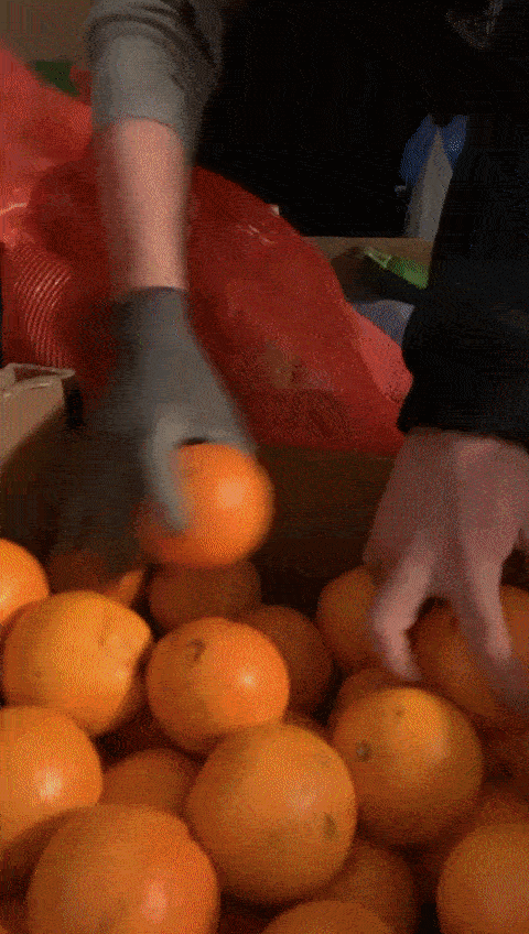 voluntarios 4 marzo.gif