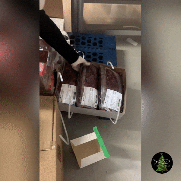 hippo (1).gif
