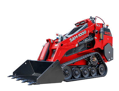 sam-1000.jpg