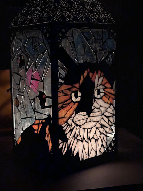 Katze