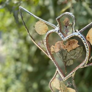 Taube Hochzeit