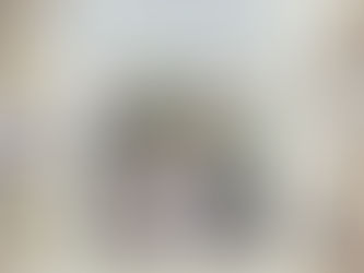 (R0716)Le quattro stagioni di Boscodirovo - Jill Barklem (2009)(47/3)