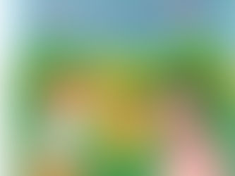 (R0336) Il segreto del parco incantato - Fernando Lalana (1992)(44/5)