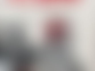 (2670) Mister Gregory - Sveva Casati Modignani (2013)(59/3)