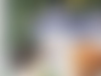 (2719) Di buona famiglia - Isabella Bossi Fedrigotti (1991)(61/4)