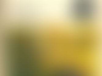 (C0002)Il diavolo al ponte lungo - Riccardo Bacchelli (1965)(51/1)