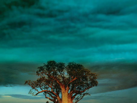 (2753) Dirt music - Tim Winton (2005)(12/7)