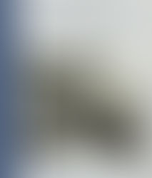 Daniele Lotti - Opere