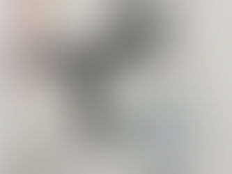 (3258) Il cerchio del lupo - Michael Connelly (2009)(18/4)