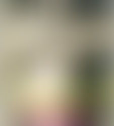 (2926) Tutto il resto è di primaria importanza - Eva Menasse (2006)(08/4)