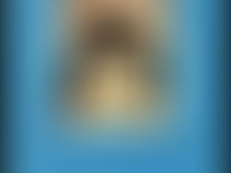 (2188) Che paese l'America - Frank McCourt (2003)(07/5)