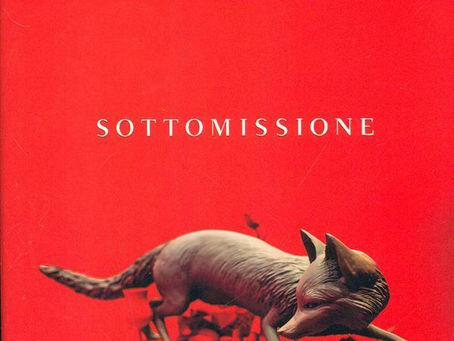 (D1047) Sottomissione - Michel Houellebecq (2015)(05/5)