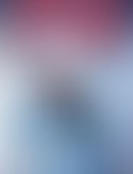 () Order to kill - Vince Flynn (2017)(16/1)