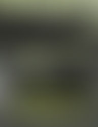 (C0876) Traditori di tutti - Giorgio Scerbanenco (1999)(59/6)