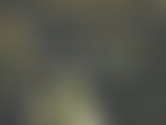 (D0896)Il sapore dei semi di mela - Katharina Hagena (2009)(05/2)