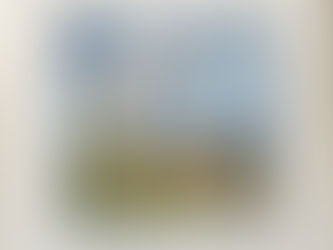 (2589) Nel bozzolo dorato - Laurana Berra (2007)(61/4)