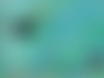 (2270) Il giardiniere tenace - John Le Carré (2001)(24/2)