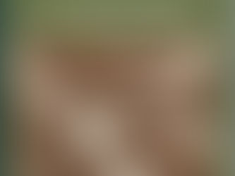 (10) Il progresso è un razzo - Riccardo Bacchelli (1975)(51/1)