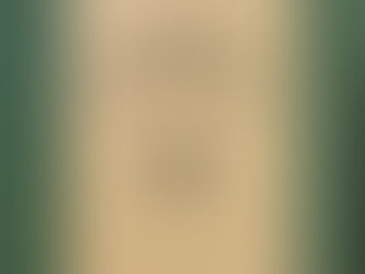 (355) Palme selvagge - William Faulkner (1965)(30/3)