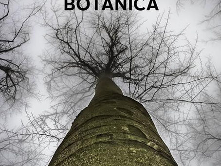 (3448)Incursioni di enigmistica botanica - Paolo M. Stella (2021)(66/2)