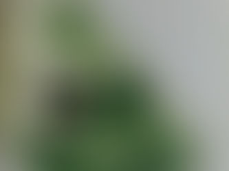 (2790) Il complotto contro l'America - Philip Roth (2005)(11/3)