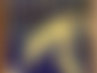 (D1397) Il manoscritto - Robert Ludlum (1987)(21/7)