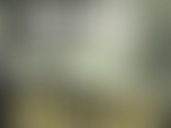 (3124) Corsa verso il baratro - Elizabeth George (2008)(21/2)