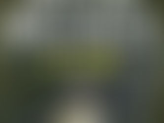 (3853) La fuga - David Baldacci (2019)(19/2)