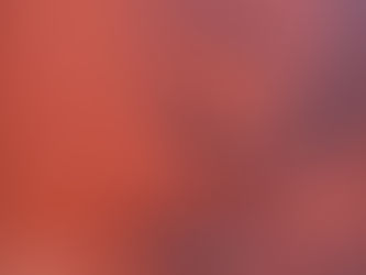 (2496)Michelangelo - Antonio Forcellino (2005)(38/4)