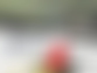 (3597) Tempesta di neve e profumo di mandorle - Camilla Lackberg (2015)(32/4)