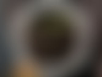 (C0575) La natura delle cose - Tito Lucrezio Caro (1997)(54/3)