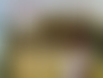 (3029)Il giardino dei Finzi-Contini - Giorgio Bassani (2012)(51/2)