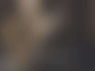 (D2166) L'artista - Barbara Shapiro (2016)(12/4)