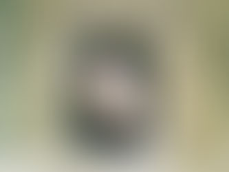 (2046) La donna di giada - Nicole Mones (1999)(08/5)