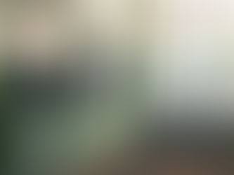 (D1048) Il mercante dei quadri perduti - Sara Houghteling (2009)(05/6)