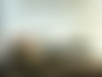 (2097) La costa dei barbari - Norman Mailer (1999)(07/2)