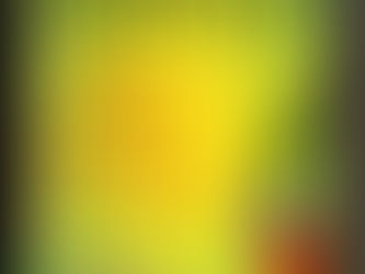 (D1595)Il volo del Falcone - Bernard Simonay (1998)(12/1)