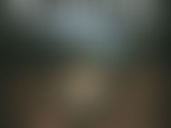 (D2011) La città sepolta - James Rollins (2008)(15/2)