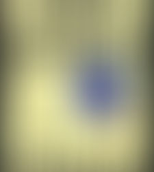 (2617) Il candidato - David Baldacci (2005)(19/2)