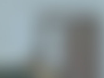 (2808)L'amore o quasi - Catherine Dunne (2006)(37/2)