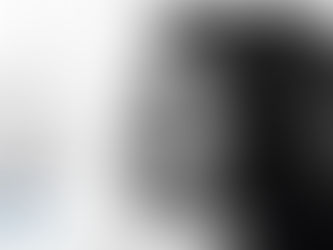 (3122) La tigre di Noto - Simona Lo Iacono (2021)(63/5)