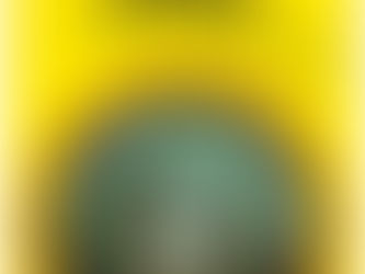 (D1050)I dannati del Tamigi - Anne Perry (2014)(14/3)