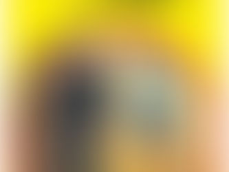 (D1043)Una moglie per Virgil Tibbs - John Ball (1983)(14/2)