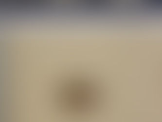 (2571) Stagione di passione - Danielle Steel (2002)(05/7)