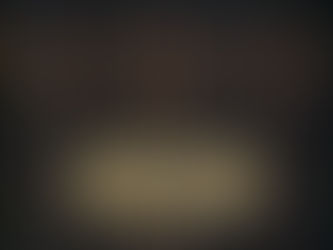 (D2338)  Il cottage - Danielle Steel (2005)(04/7)