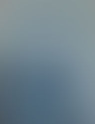 La biblioteca dei nostri sogni – Alunni classe IV scuola statale Bellagio. (70/2)