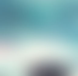 (4244)La legge di Yellowstone - Callan Wink (2026)(12/7)