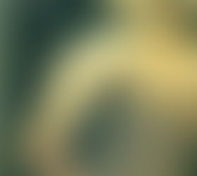 (2366)Una vita diversa - Catherine Dunne (2002)(37/2)