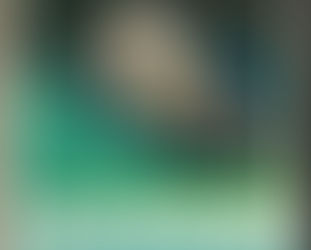 (19) L'airone - Giorgio Bassani (1970)(51/2)