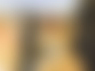 (3003) L'estate dell'incanto - Francesco Carofiglio (2019)(62/7)